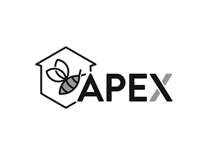 Apex